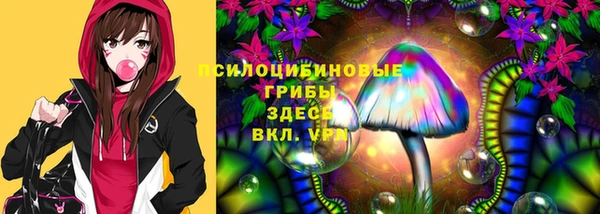 ALPHA PVP Армянск