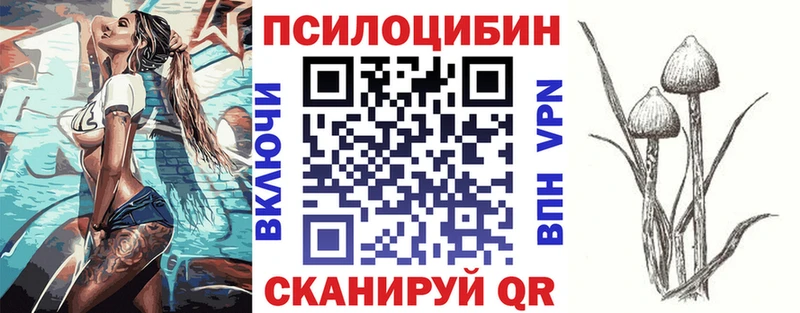 Псилоцибиновые грибы мухоморы  дарнет шоп  omg ссылки  Сердобск 